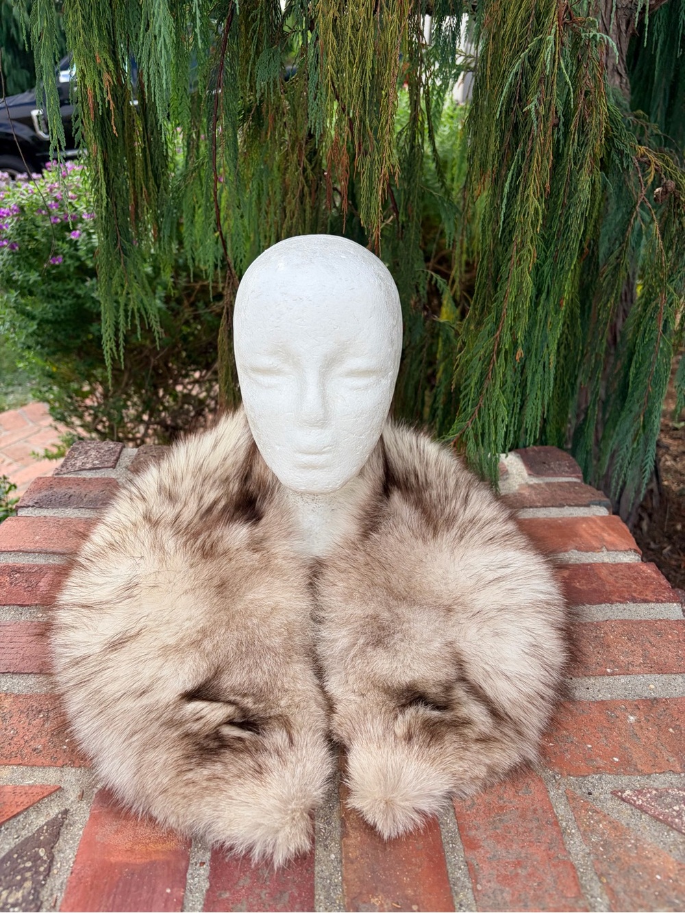 Fluffy Fox Fur Collar Gorgeous Markings Rocker Style